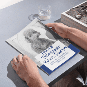 gold black crown x crown logo (13)