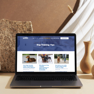 gold black crown x crown logo (7)